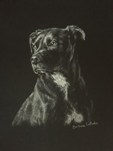 Dessin intitulée "dog" par Barbara Labutis, Œuvre d'art originale, Fusain
