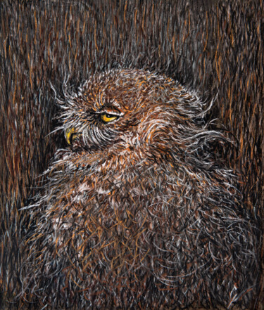 Drawing titled "Mimicry of a burrow…" by Barbara Orsolini, Original Artwork, Pastel