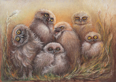 Dibujo titulada "Big Burrowing Owl F…" por Barbara Orsolini, Obra de arte original, Pastel