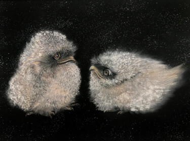 Painting titled "Cute Frogmouth Bird…" by Barbara Orsolini, Original Artwork, Pastel Mounted on Wood Panel