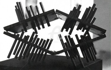 Sculpture intitulée "05-Le refuge-I-01" par Barbu Nitescu, Œuvre d'art originale