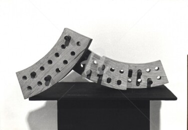 Sculpture intitulée "14-Groupe modulaire…" par Barbu Nitescu, Œuvre d'art originale