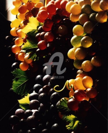 Arts numériques intitulée "Faux raisins" par Barbu Nitescu, Œuvre d'art originale