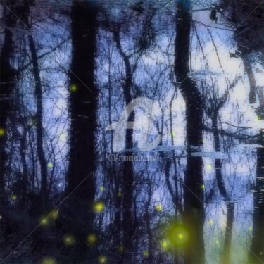 Photographie intitulée "Forêt 02" par Barbu Nitescu, Œuvre d'art originale