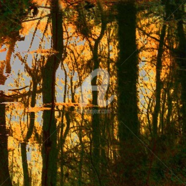 Photographie intitulée "Forêt 03" par Barbu Nitescu, Œuvre d'art originale
