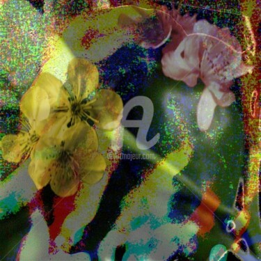 Photographie intitulée "Fleurs 01" par Barbu Nitescu, Œuvre d'art originale