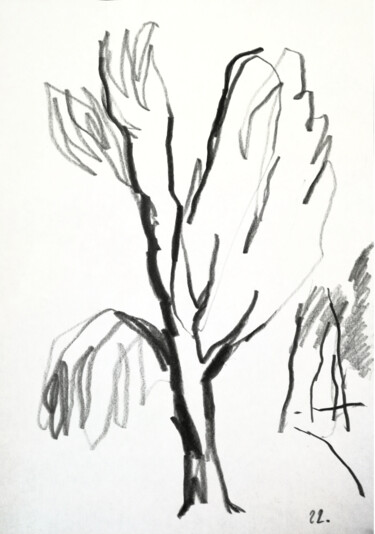 Painting titled "Tree" by Yuliya Bardun, Original Artwork, Pencil