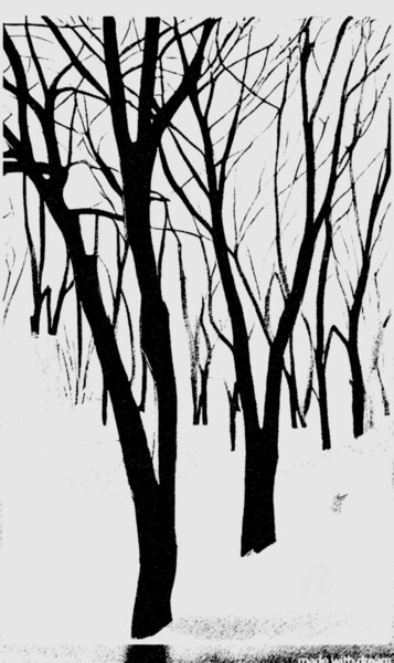Arts numériques intitulée "Зимняя грусть" par Baron Dragan, Œuvre d'art originale, Peinture numérique