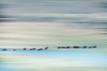 Photographie intitulée "Walking elephants 1" par Bart Debo, Œuvre d'art originale, Photographie numérique