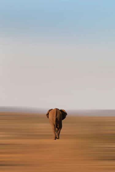 Photographie intitulée "Returning elephant" par Bart Debo, Œuvre d'art originale, Photographie numérique