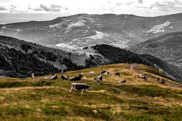 "Vlakte vol schoonhe…" başlıklı Fotoğraf Bart Stoutjesdijk tarafından, Orijinal sanat, Dijital Fotoğrafçılık