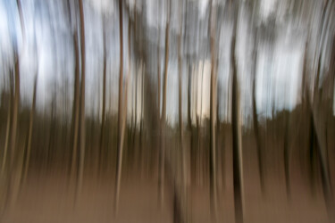 Fotografie getiteld "Bewegende bomen" door Bart Stoutjesdijk, Origineel Kunstwerk, Digitale fotografie