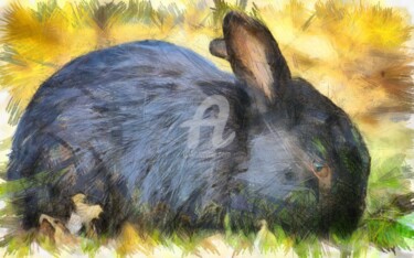 Dessin intitulée "black-rabbit-pencil…" par Basilo Enesto, Œuvre d'art originale