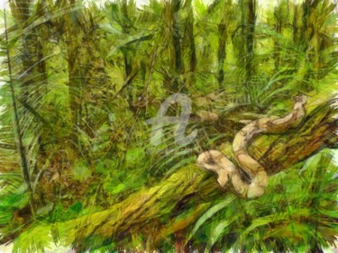 Drawing titled "boa-snake-in-the-ju…" by Basilo Enesto, Original Artwork