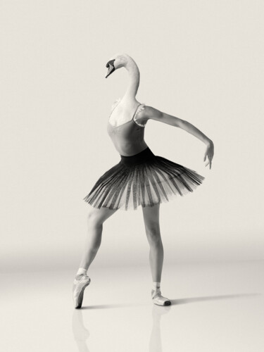 Arts numériques intitulée "Swan's Wisdom" par Bastien Boston, Œuvre d'art originale, Photo montage