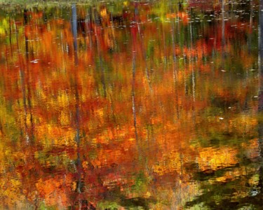 Fotografia intitulada "New Hampshire Fall…" por Bavosi Photoart, Obras de arte originais, Fotografia digital