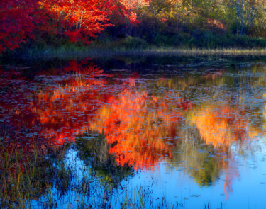 Фотография под названием "Autumn In Chesham N…" - Bavosi Photoart, Подлинное произведение искусства, Цифровая фотография