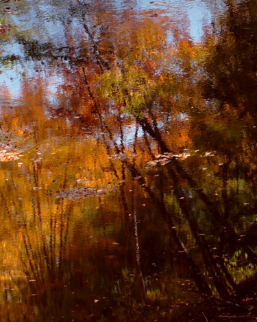 Photographie intitulée "Late Autumn In New…" par Bavosi Photoart, Œuvre d'art originale, Photographie numérique