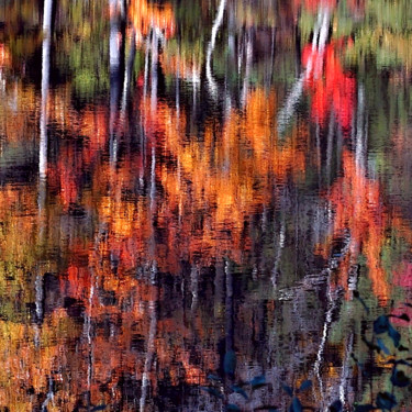 Photographie intitulée "Another Autumn Abst…" par Bavosi Photoart, Œuvre d'art originale, Photographie numérique