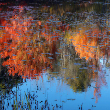 Fotografie mit dem Titel "Chesham Pond" von Bavosi Photoart, Original-Kunstwerk, Digitale Fotografie