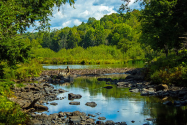 Photography titled "Beaver Dam on a Mou…" by Nathan Bickel, Original Artwork, Digital Photography