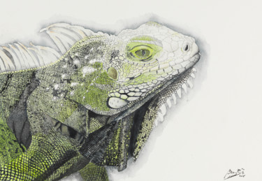 Peinture intitulée "Iguane" par Benoit Donne, Œuvre d'art originale, Aquarelle