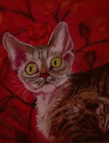 Dessin intitulée "chat devon rex du D…" par B De Lavaulx, Œuvre d'art originale, Pastel