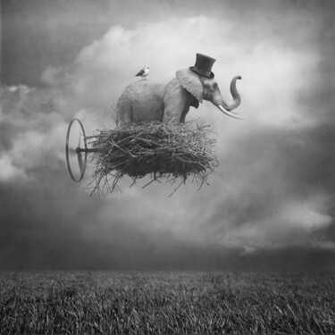 Digital Arts titled "Flying animals I b/w" by Beata Bieniak, Original Artwork, Manipulated Photography