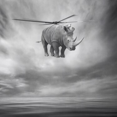 Digital Arts titled "Rhinocopter" by Beata Bieniak, Original Artwork, Photo Montage