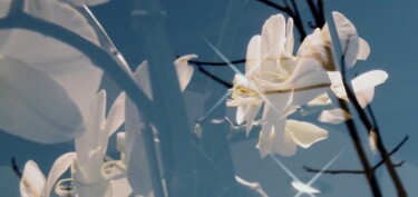 Photographie intitulée "Reflets de fleurs" par Béatrice Marie Penaud, Œuvre d'art originale