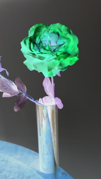 Photographie intitulée "La rose verte" par Béatrice Marie Penaud, Œuvre d'art originale, Photographie numérique