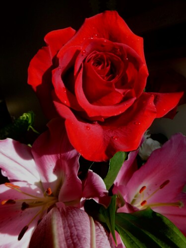 Photographie intitulée "The crimson rose ;…" par Béatrice Marie Penaud, Œuvre d'art originale, Photographie numérique