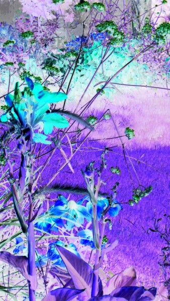 Photography titled "Jardin précieux" by Béatrice Marie Penaud, Original Artwork, Digital Photography