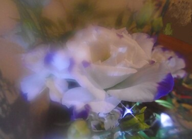 Photographie intitulée "La fleur et l'étinc…" par Béatrice Marie Penaud, Œuvre d'art originale, Photographie numérique