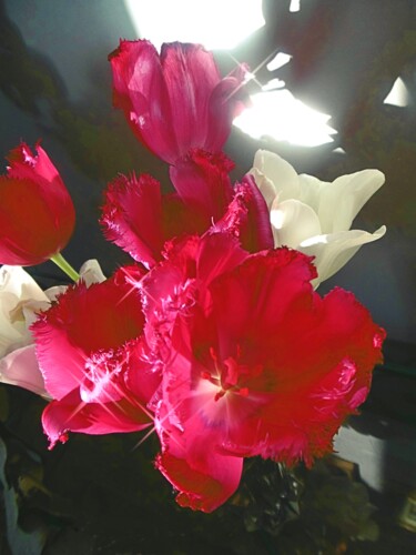 Φωτογραφία με τίτλο "Red flower - la fle…" από Béatrice Marie Penaud, Αυθεντικά έργα τέχνης, Ψηφιακή φωτογραφία