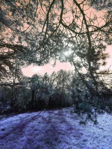 Photographie intitulée "Lisière de la forêt" par Béatrice Marie Penaud, Œuvre d'art originale, Photographie numérique