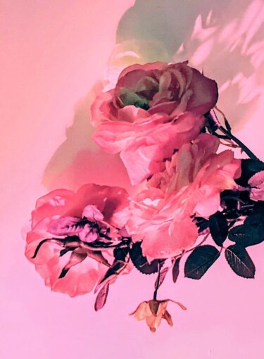 Photography titled "Roses" by Béatrice Marie Penaud, Original Artwork, Analog photography