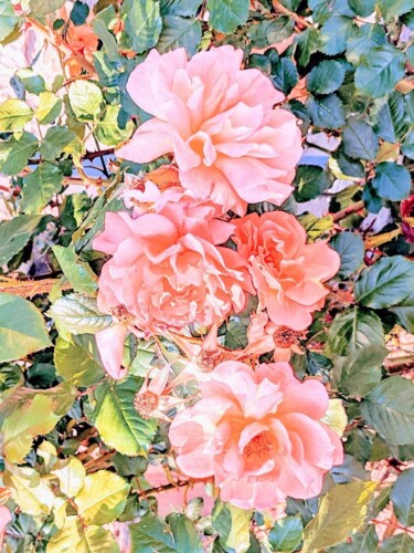 Fotografie mit dem Titel "Roses et feuilles" von Béatrice Marie Penaud, Original-Kunstwerk, Digitale Fotografie