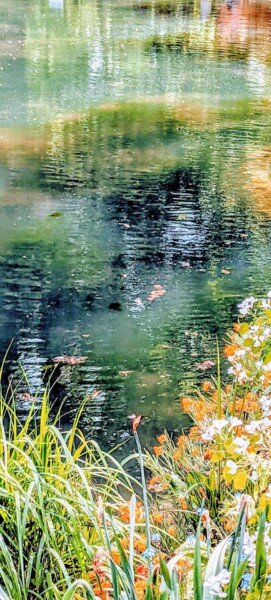 Photographie intitulée "Fleurs au bord de l…" par Béatrice Marie Penaud, Œuvre d'art originale, Photographie numérique