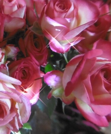 Photographie intitulée "Roses et rosée" par Béatrice Marie Penaud, Œuvre d'art originale, Photographie numérique