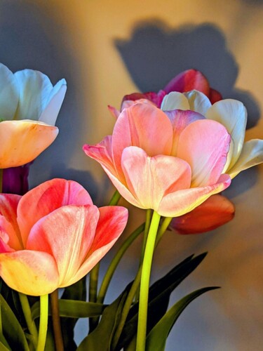 Photographie intitulée "Tulipes du soir" par Béatrice Marie Penaud, Œuvre d'art originale, Photographie numérique