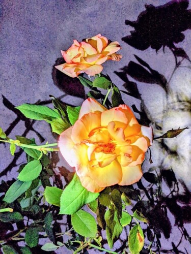 Fotografie getiteld "Les roses la nuit" door Béatrice Marie Penaud, Origineel Kunstwerk, Digitale fotografie