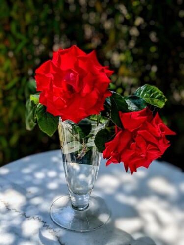 Photographie intitulée "A l'ombre des roses…" par Béatrice Marie Penaud, Œuvre d'art originale, Photographie numérique