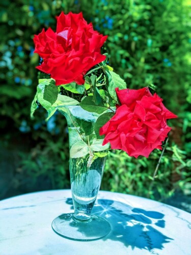 Photographie intitulée "Deux roses rouges a…" par Béatrice Marie Penaud, Œuvre d'art originale, Photographie numérique