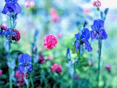 Photographie intitulée "Iris du jardin" par Béatrice Marie Penaud, Œuvre d'art originale, Photographie numérique