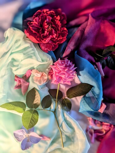 Photographie intitulée "Fleurs sur mousseli…" par Béatrice Marie Penaud, Œuvre d'art originale, Photographie numérique