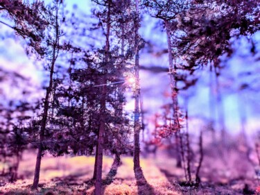Fotografie mit dem Titel "Dans la forêt de pi…" von Béatrice Marie Penaud, Original-Kunstwerk, Digitale Fotografie