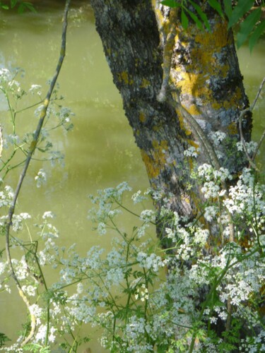 Photographie intitulée "Printemps" par Béatrice Marie Penaud, Œuvre d'art originale