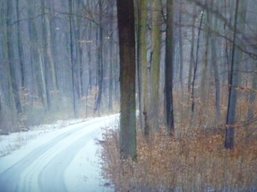 Fotografie mit dem Titel "Le chemin de l'hiver" von Béatrice Marie Penaud, Original-Kunstwerk