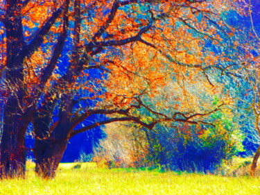 Octobre rouge à Artiguelouve Photographie intitulée "Octobre rouge à Art…" par Béatrice Marie Penaud, Œuvre d'art originale